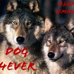 Quannn X NMMBishop  - DOG 4ever ( Prod. Kid Ocean )