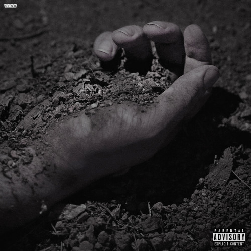 Bones - 517