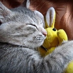 Alive And Dreaming