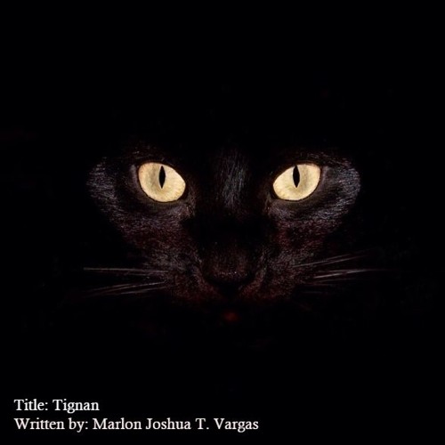 Tignan (On the Spot)