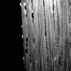 孤絶した疾患者(demo 20191128)