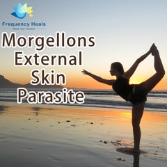 Frequency Heals – Morgellons External Skin Parasite (ETDF)