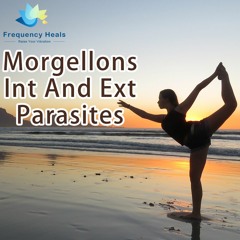 Frequency Heals – Morgellons Int And Ext Parasites (ETDF)