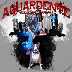 Silverstar Beubar - Poignée De Punchline 2019