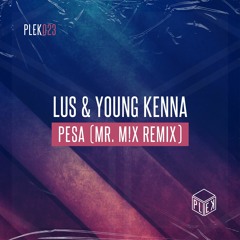 LUS & Young Kenna - Pesa (Mr. M!X Remix) [PLEK023]