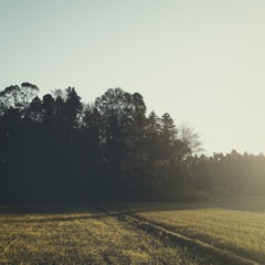 YACHIMATA_191129