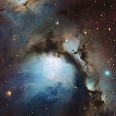 Step (November 29th)