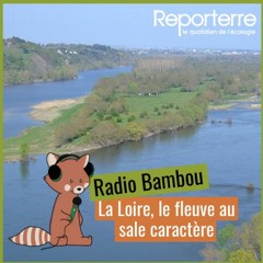 #55 Radio Bambou : La Loire, le fleuve au sale caractère
