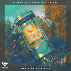 DJ MEG & Red Square feat. Kayrae - One Life (VIP Mix)