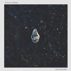 Tristan Eckerson - Cartographer