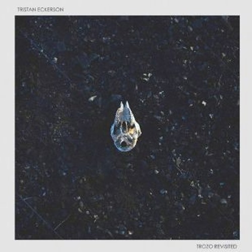 Tristan Eckerson - Cartographer