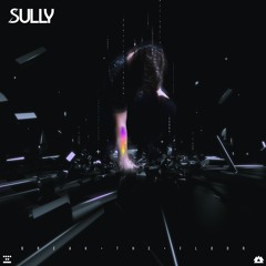Sully - Guess Who's Back
