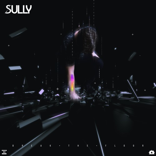 Sully - Guess Who's Back