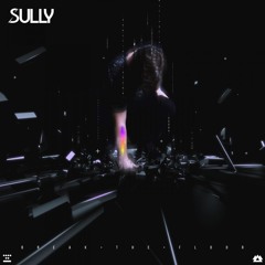 Sully - Wreck It
