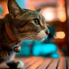 Đừng Nhắc Chuyện Lòng