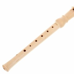 [Flute] Type Beat