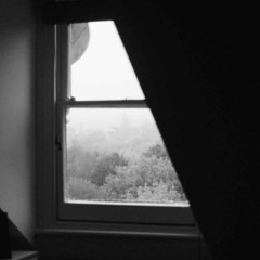 dalia - In The Dark With You