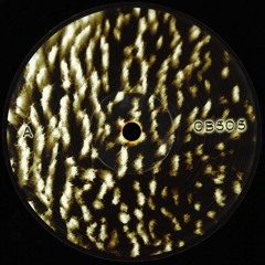 Premiere : Carebears - 505 B (CB505)