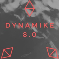Dynamike 8.0 XTRA RAW MIX 2019