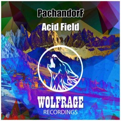 Acid Field (Extended Mix)