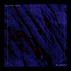 walking with my shadow