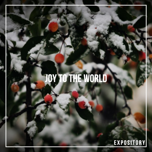 Joy to the World (Prod. Allvert)