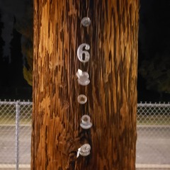 Maybe It's Pop - Punk