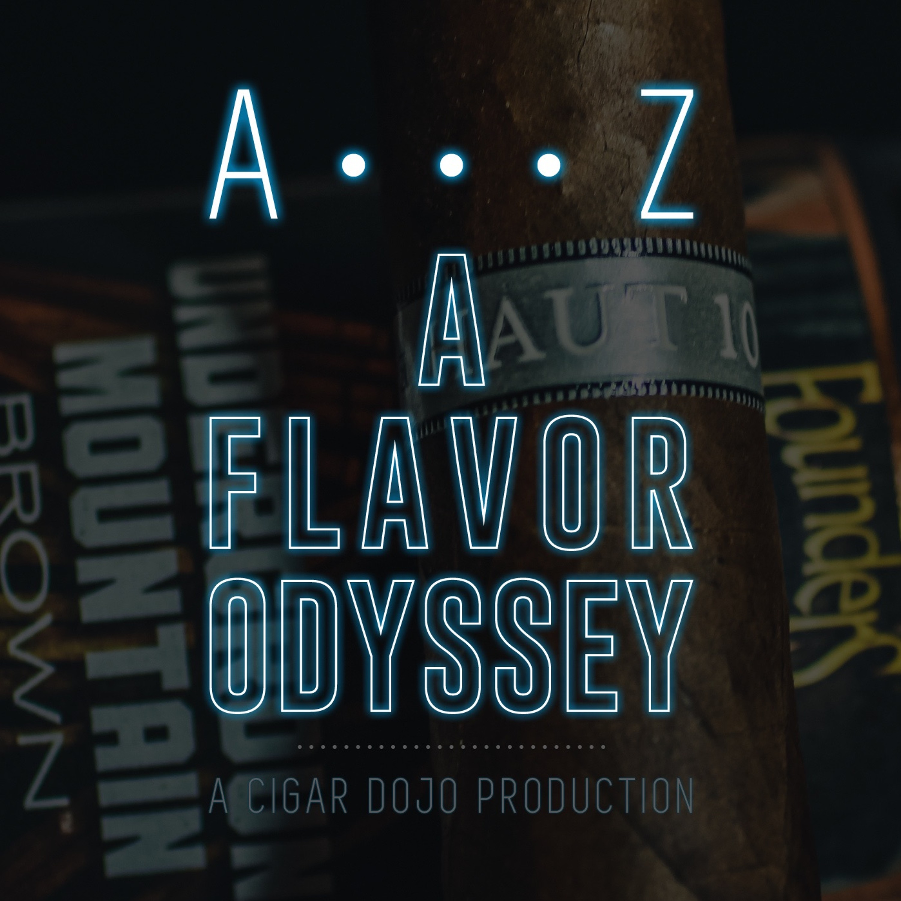 A Flavor Odyssey