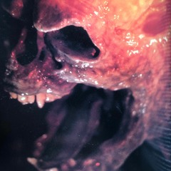 DAEMON