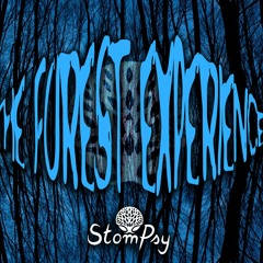 The Forest Experience