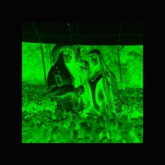 OMULU & Ludmilla - Verdinha no Paredão (Iago Mashup)