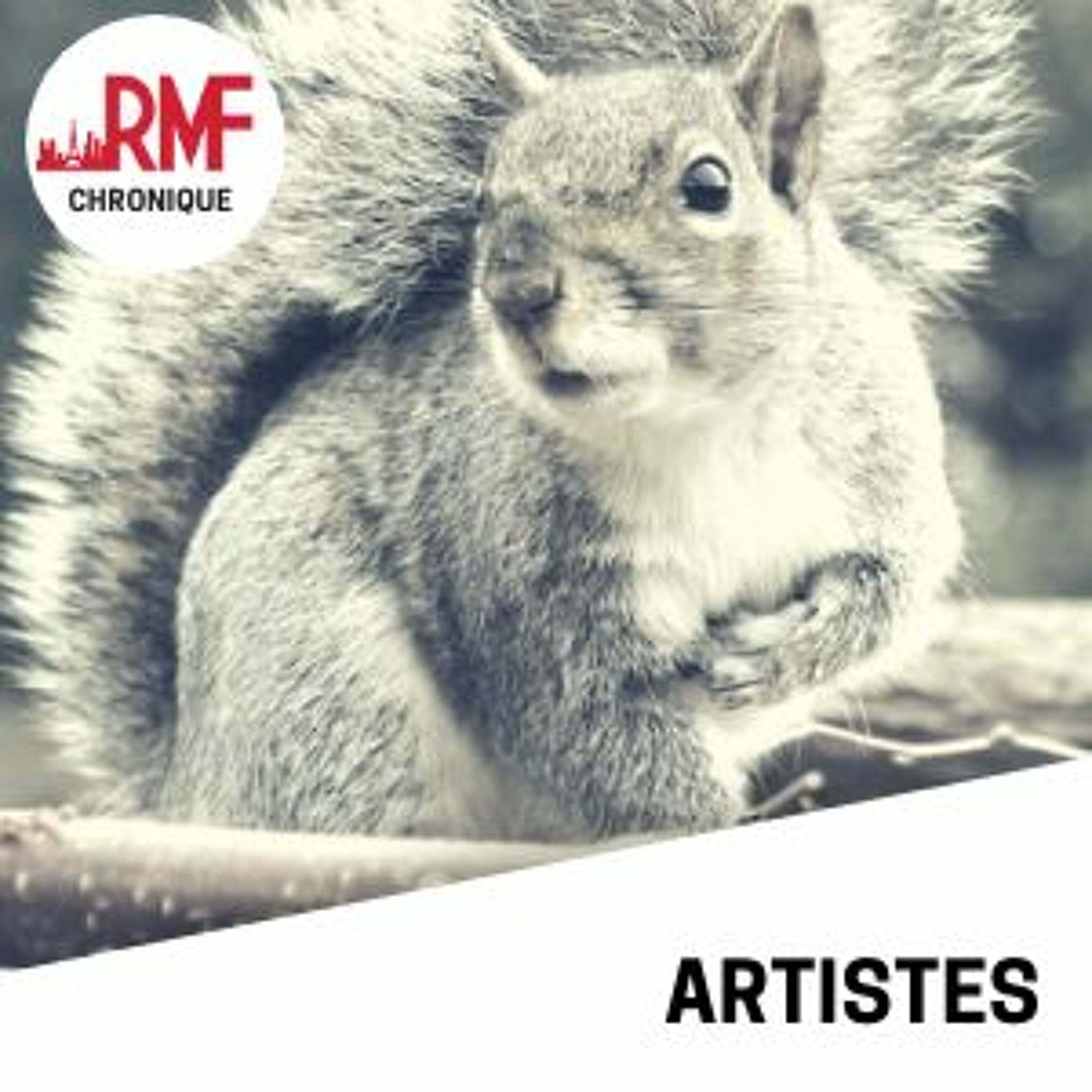 RMF Radio