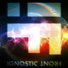 THE RADIX OF VIBRATION: AN AUDIO DIARY