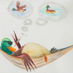 Lazy Duck