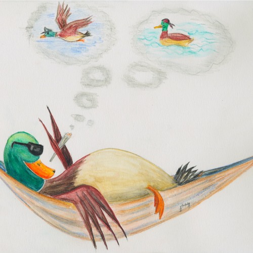 Lazy Duck