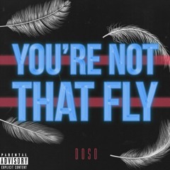 You're Not That Fly