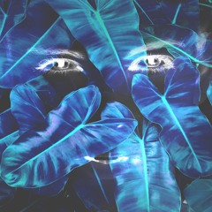 Kayou. & Zaini - She's So Evil (ft. Cold Illumination)