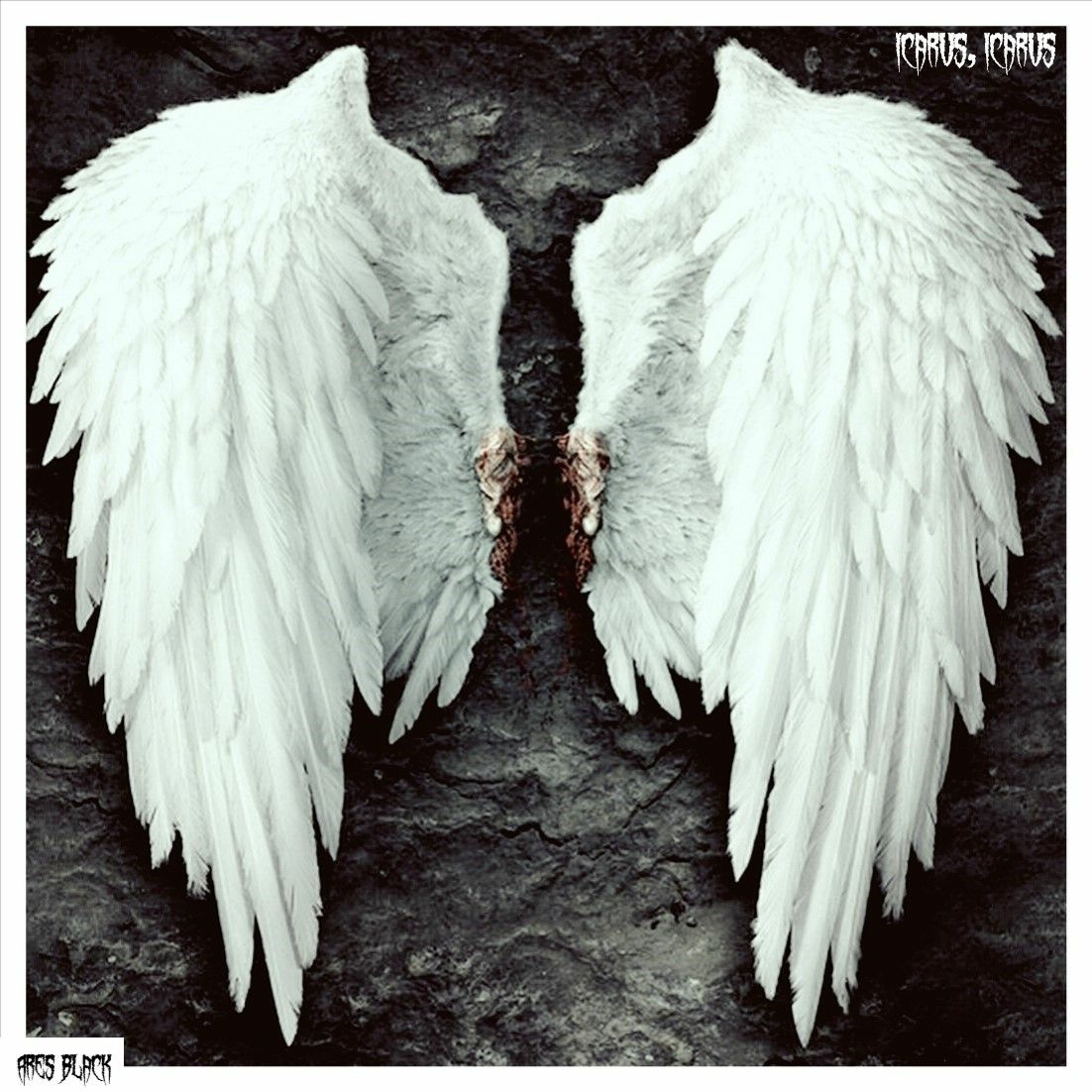 Icarus, Icarus episode artwork