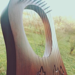 Harp 05
