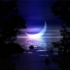 Still Night (Feat. NieLey) (Prod. D A E H A N)