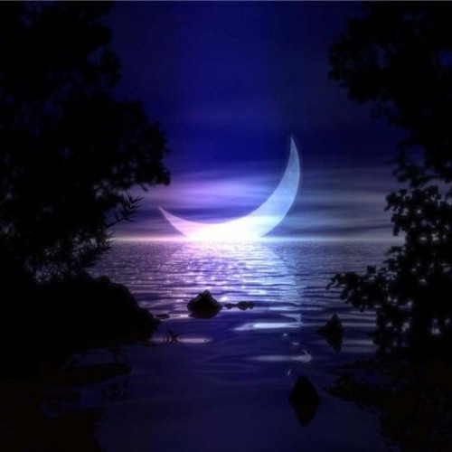 Still Night (Feat. NieLey) (Prod. D A E H A N)