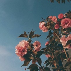 Chill playlist