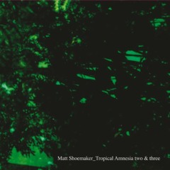 Matt Shoeamker_Tropical Amnesia Two [extract]