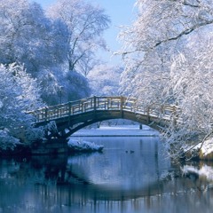 WINTER SEASON