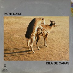 Isla de Caras - Partenaire (EFD049)