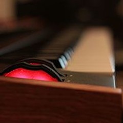 PB6