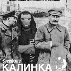 REAKTOR - TH Speedcore Калинка 300