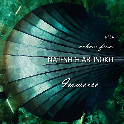 Echoes from Najesh & Artišoko - Immerse