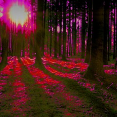 Trapbitnietitled2.wav