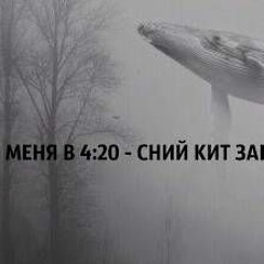 Vacuum - Синий Кит